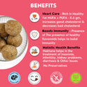 Heart Care & Immunity booster Box Combo | Healthy Heartbeat - Healthy Heart Laddoo (250 gms) + Natural Immunizer - Immunity Boost Laddoo (250 gms)