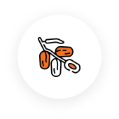 icon_dates-date_spread