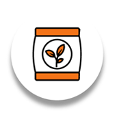 Superfood